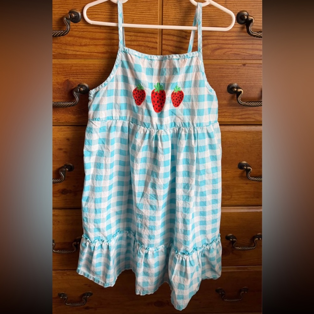 Harper Canyon strawberry embroidered blue gingham dress size 8